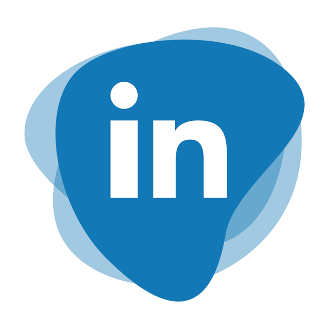 Logo Linkedin Sarapis